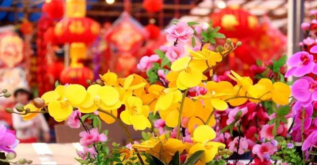 虎年年花上市，需要買年花年桔的可以安排了！