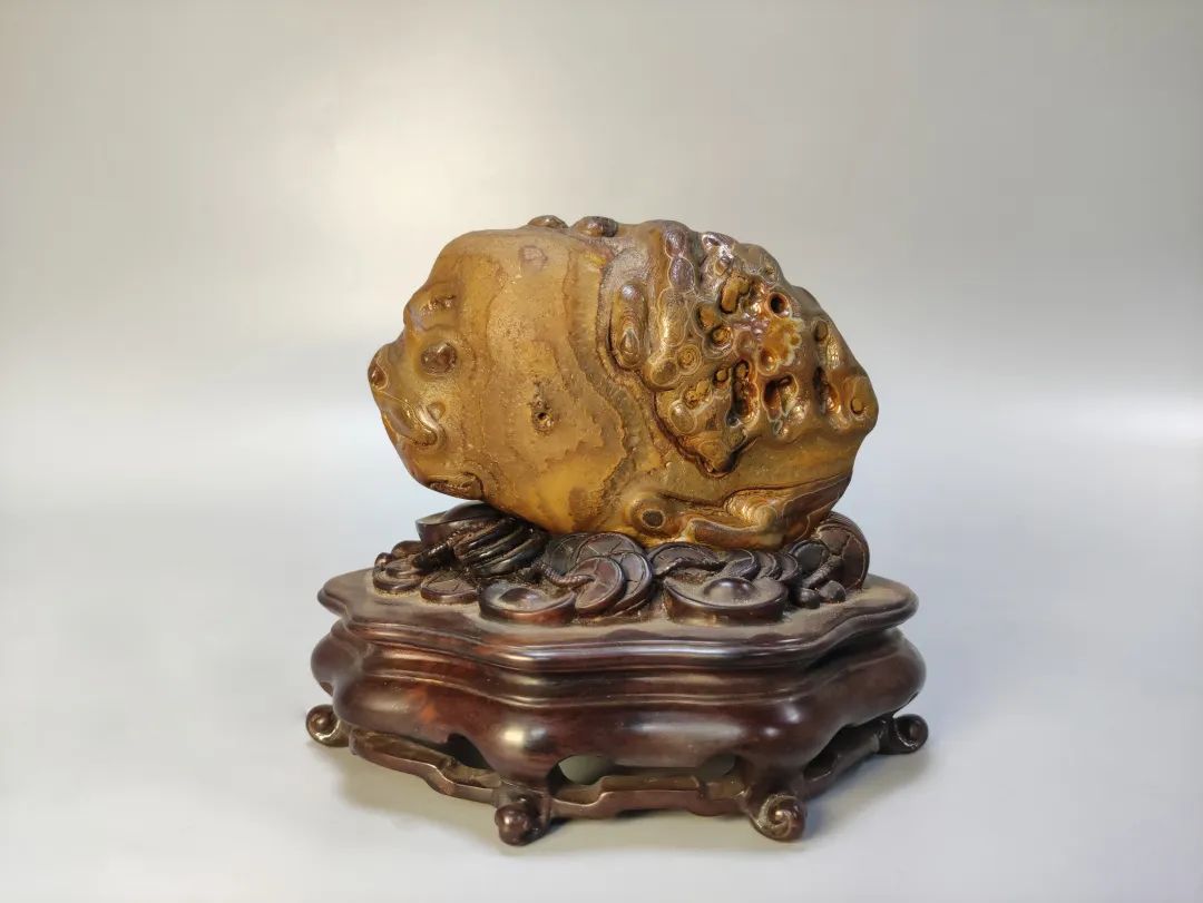 廣州花地灣石博會(huì)“名家名石精品展”金獎(jiǎng)美石一覽 廣州花地灣石博會(huì)“名家名石精品展”金獎(jiǎng)美石一覽