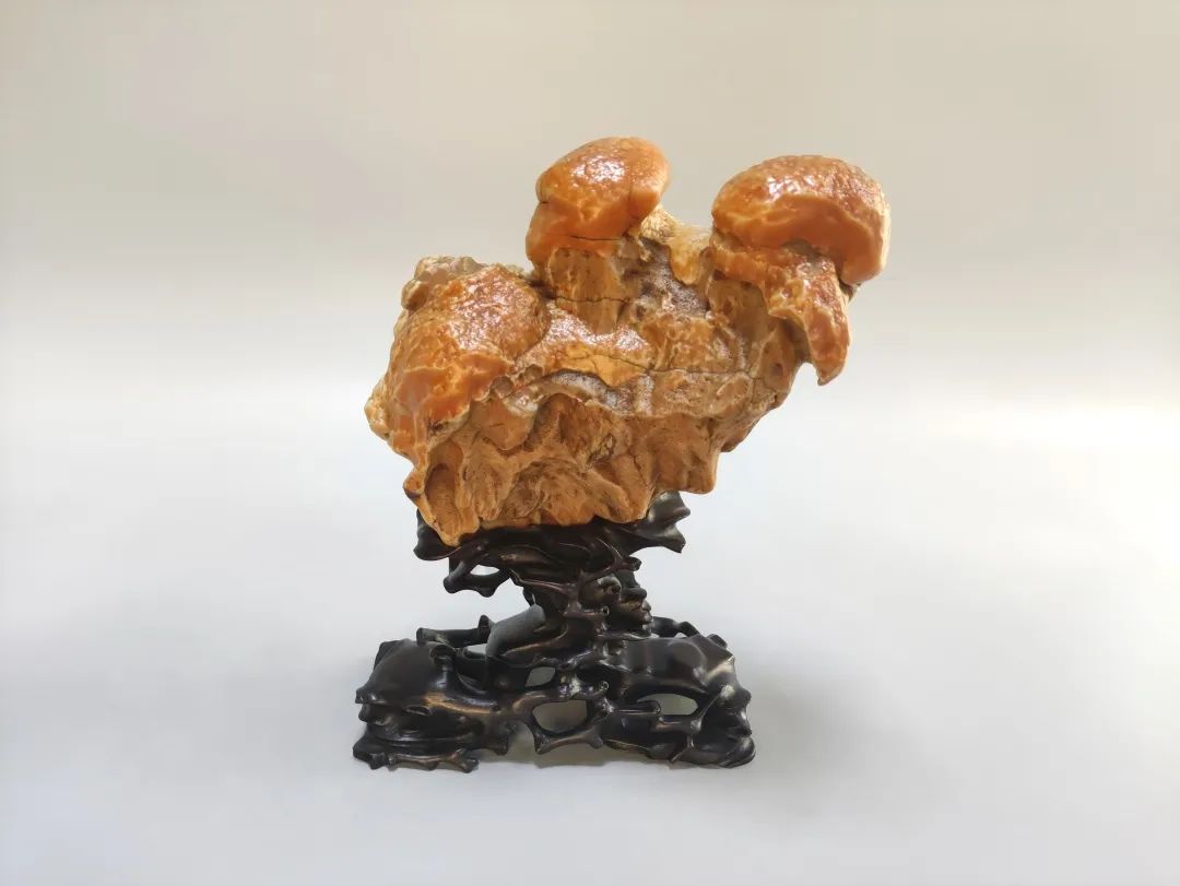 廣州花地灣石博會(huì)“名家名石精品展”金獎(jiǎng)美石一覽 廣州花地灣石博會(huì)“名家名石精品展”金獎(jiǎng)美石一覽