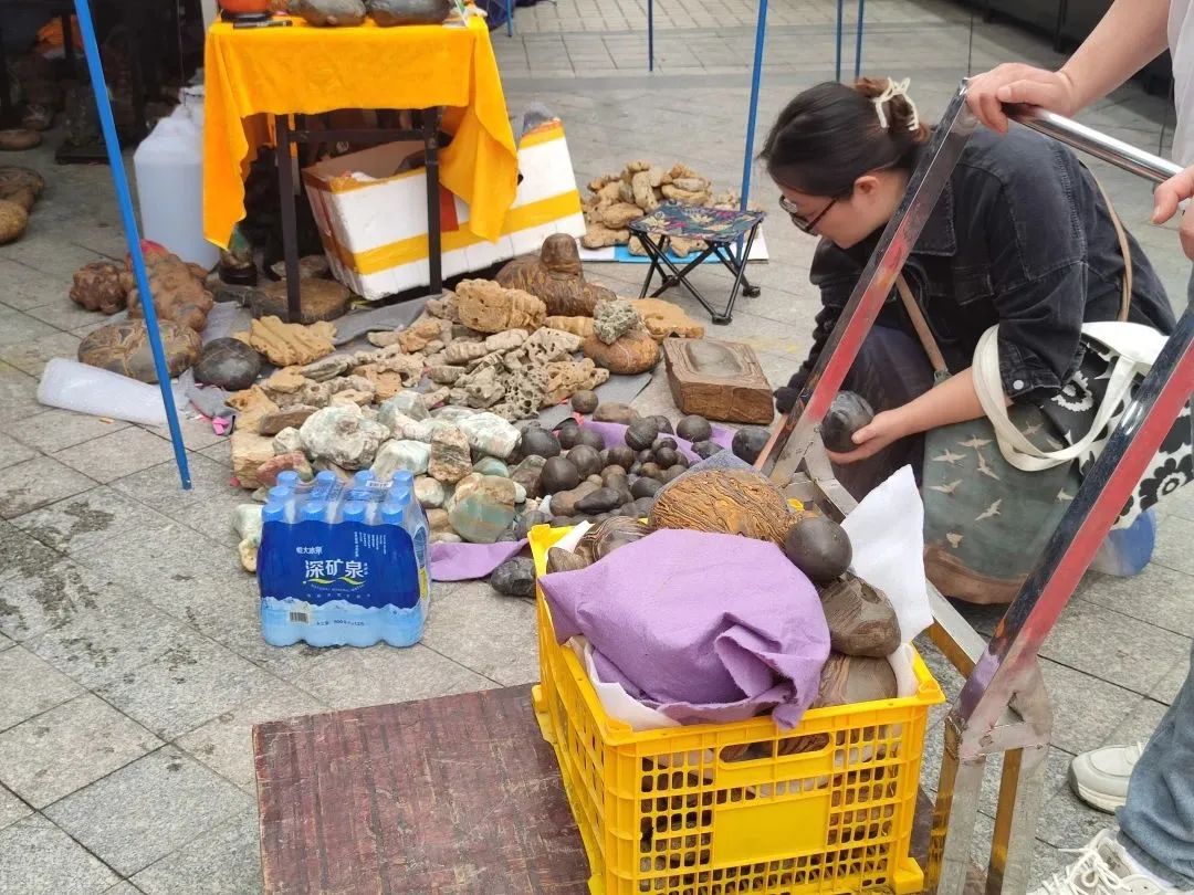 廣州花地灣2023第三屆觀賞石博覽會圓滿落幕！