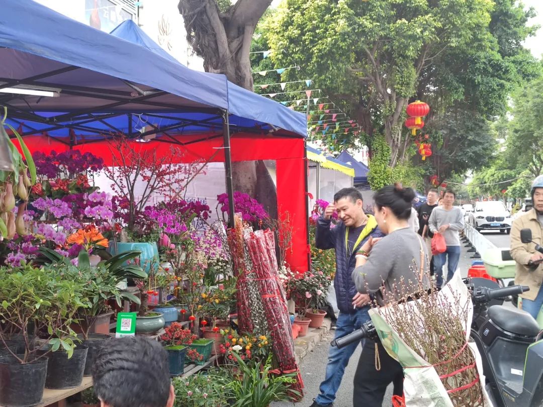 買年花過大年！花地灣古玩城迎春花市開鑼啦！