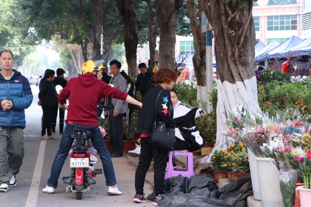 花地灣古玩城迎春花市