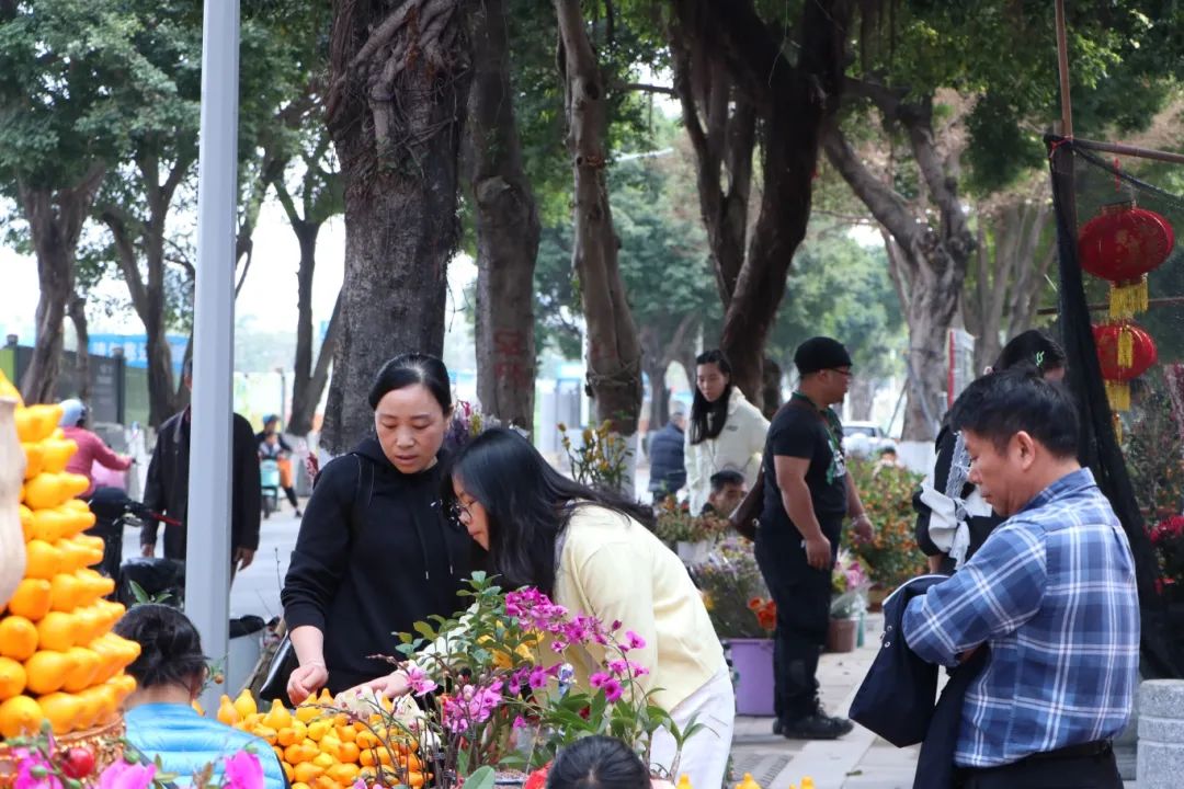 花地灣古玩城迎春花市
