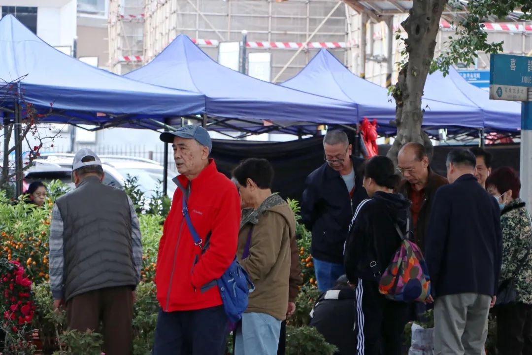 花地灣古玩城迎春花市